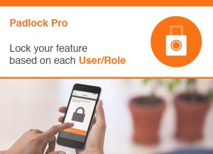 Read more about the article How to Implement the Padlock Pro Feature